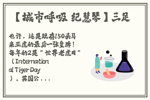 秋葵草莓茄子香蕉丝瓜榴莲18